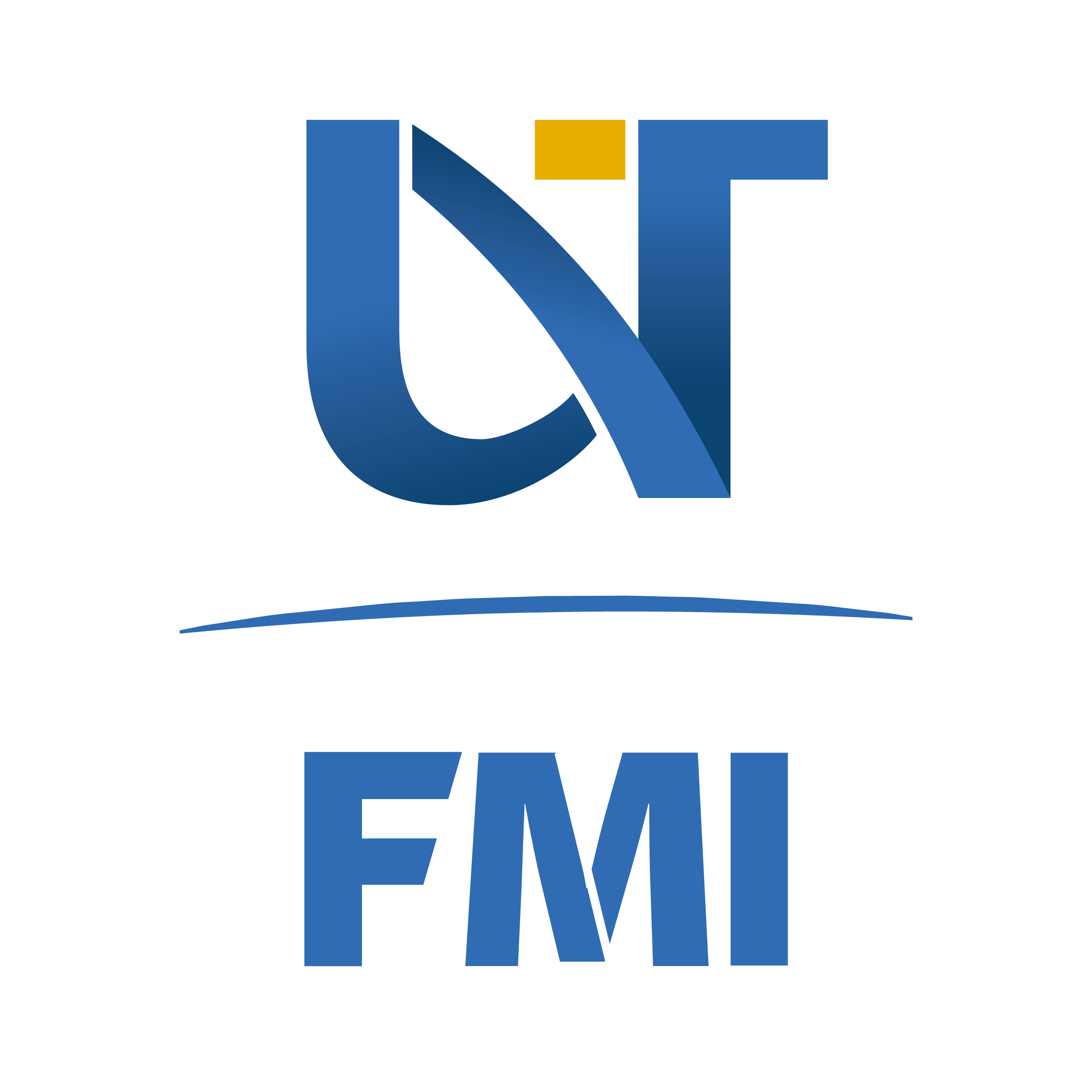 FMI Logo